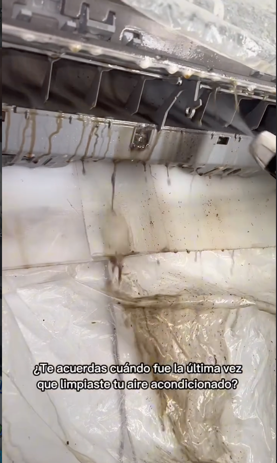 Maintenance & Deep Cleaning